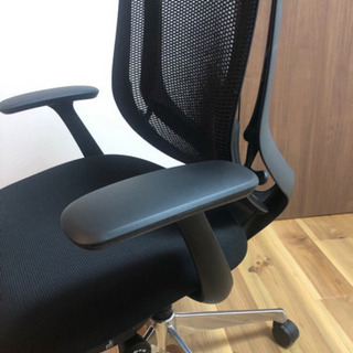 オカムラ　シルフィー　okamura sylphy