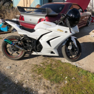 ninja250R 購入者決まりました