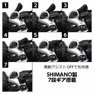  電動アシスト付き自転車 ロカフレーム マカミ マットブラック ROCKA FLAME MAKAMI e-Bike