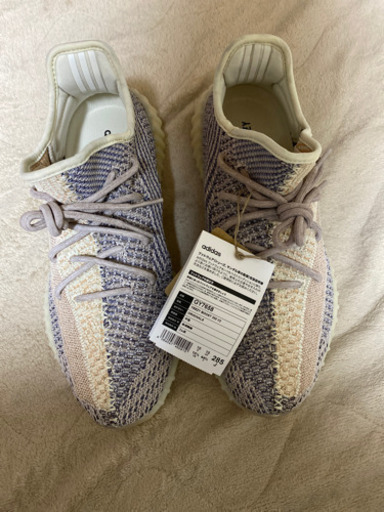 ‼️yeezy boosy 350 v2 ash peal  28.5cm