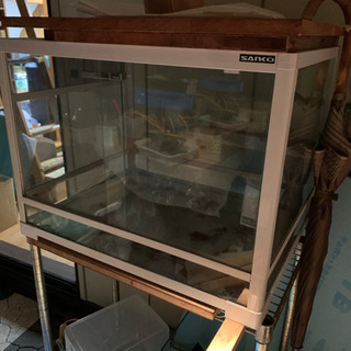 グラステラリウム、パンテオン、小型水槽、プラケースまとめて3月23日