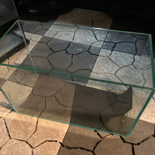 グラステラリウム、パンテオン、小型水槽、プラケースまとめて3月23日