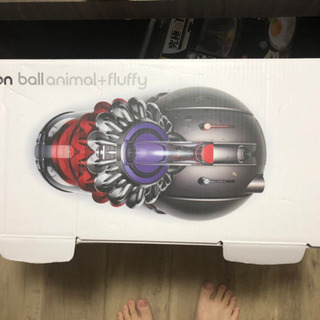 Dyson Ball Animal+Fluffy 掃除機