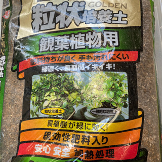 【ネット決済】観葉植物　土