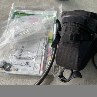 REAL STREAM 電動アシスト自転車　