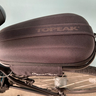 REAL STREAM 電動アシスト自転車　