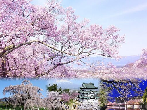 4 3日曜 名古屋 鶴舞 ソメイヨシノと屋台料理de桜まつりを満喫 ネクステdeお花見会 ネクステーション 鶴舞のパーティーのイベント参加者募集 無料掲載の掲示板 ジモティー 4 3日曜 名古屋 鶴舞 ソメイヨシノと屋台料理de桜まつりを満喫 ネクステdeお花見会 ネクステーション 鶴舞のパーティーのイベント参加者募集 無料掲載の掲示板 ジモティー