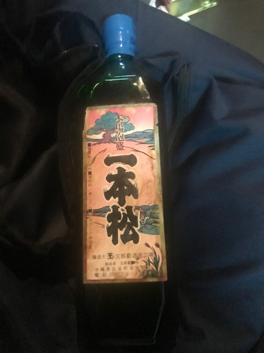 めったに無い角瓶の一本松