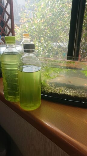 メダカ飼育水 グリーンウォーター900ml てん 東新川のその他の中古あげます 譲ります ジモティーで不用品の処分