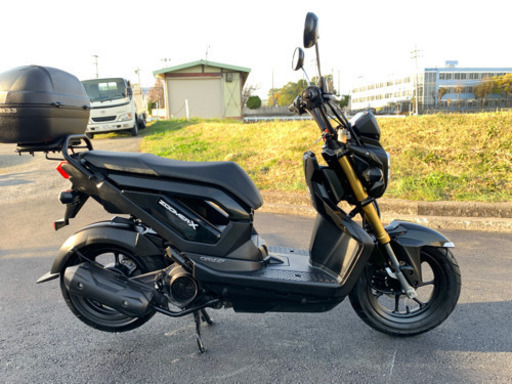 大人気‼️ホンダズーマーX‼️極上美車‼️ピカピカです‼️
