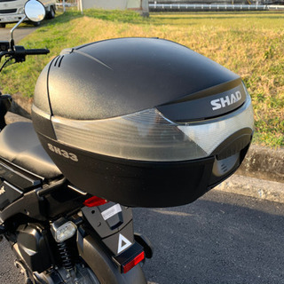 大人気‼️ホンダズーマーX‼️極上美車‼️ピカピカです‼️