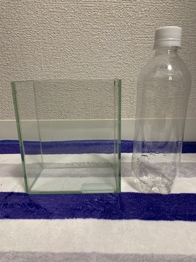 水作ショーベタコレクションケースM【小型水槽　ガラス水槽】