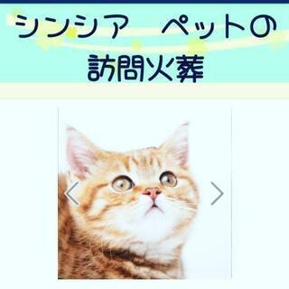 愛知県 春日井市のペット ジモティー 愛知県 春日井市のペット ジモティー