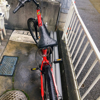 赤自転車スポーツ