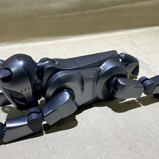 苫小牧バナナ】】治療・ドナー前提※ SONY/ソニー AIBO/アイボ ERS-210A