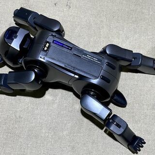 苫小牧バナナ】】治療・ドナー前提※ SONY/ソニー AIBO/アイボ ERS-210A