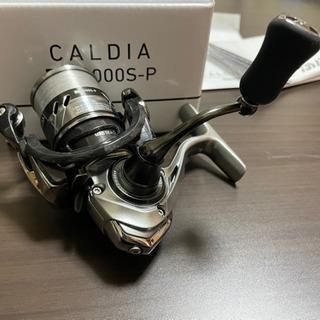 ダイワ 18 カルディア LT 1000s-p