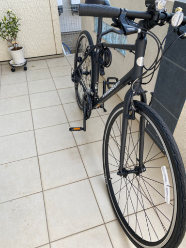 RAIL 700A 2020年モデル サイズ480 KHODAABLOOM ( コーダーブルーム