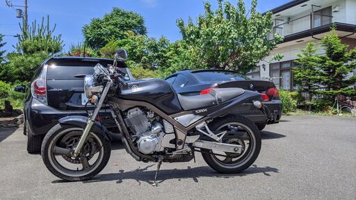 車検1年半付