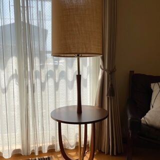 アクメファニチャー デルマーランプ