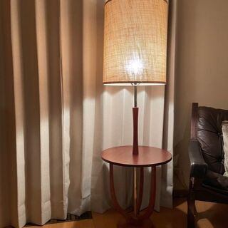 アクメファニチャー デルマーランプ