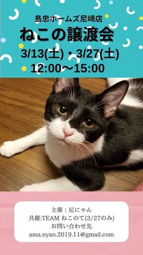 島忠ホームズ尼崎店猫の譲渡会 保護猫カフェふみふみ 尼崎センタープール前の地域 お祭りのイベント参加者募集 無料掲載の掲示板 ジモティー 島忠ホームズ尼崎店猫の譲渡会 保護猫カフェふみふみ 尼崎センタープール前の地域 お祭りのイベント参加者募集 無料掲載の掲示板 ジモティー