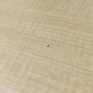 オフィス用OAテーブル（2400×1200）8~10人用＆椅子8脚のセット