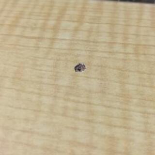 オフィス用OAテーブル（2400×1200）8~10人用＆椅子8脚のセット