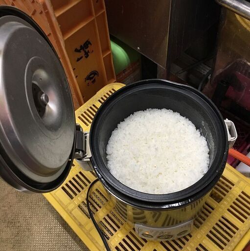 リンナイ ガス炊飯器 RR-050VM(W) LP RR-050VM（W） LP 18年製(J896ahxY)
