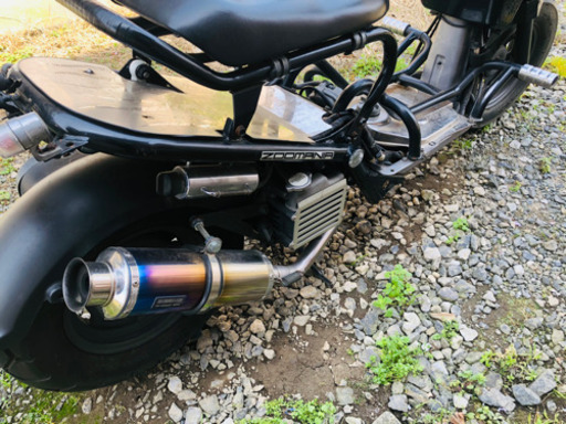 ズーマー 黒 50cc