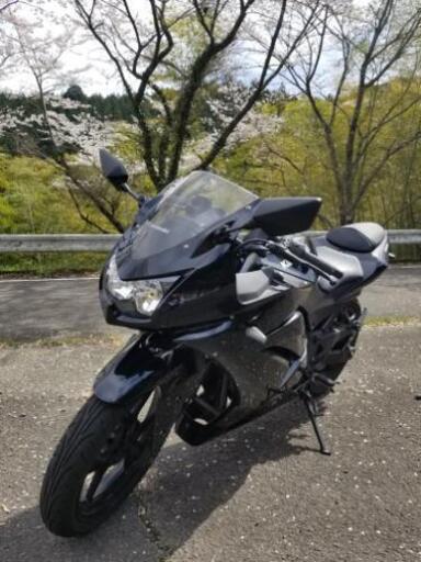 決定しましたニンジャ250　自賠責4年11月　タイヤ前後新品