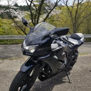 決定しました🎵ニンジャ250　自賠責4年11月　タイヤ前後新品