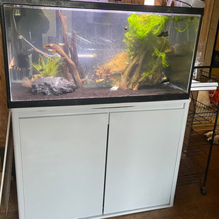 90 45 45規格水槽 90cm規格水槽台 アクアリウム 熱帯魚 爬虫類 あき 阿久根の家具の中古あげます 譲ります ジモティーで不用品の処分