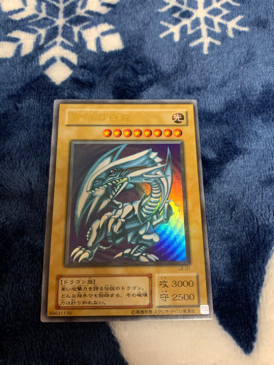青眼の白龍