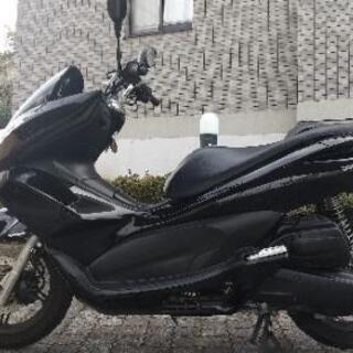 人気車★ PCX125 JF28