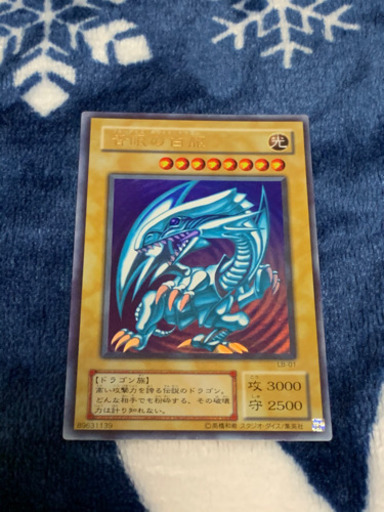 青眼の白龍②