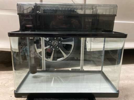 水槽 60cm 上部フィルター 600 値下げ特価