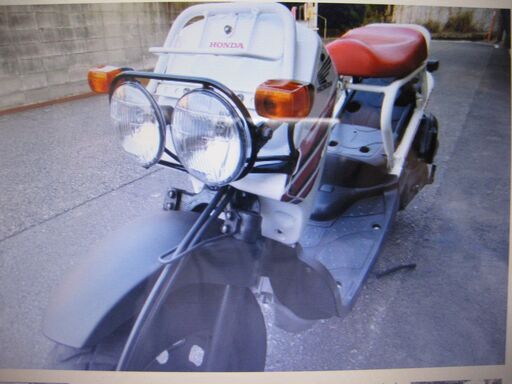ホンダ　ズーマー　白　１０ｔｈ Ａｎｎｉｖｅｒｓａｒｙ　50CC　バイク　中古車