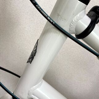 Bianchi PISA SPORT ミニベロ