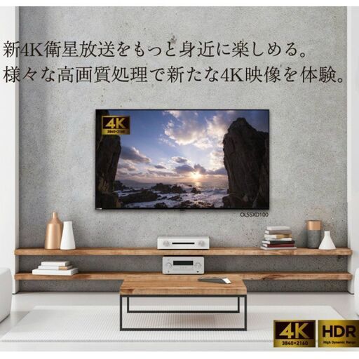 展示品　4K対応　液晶テレビ　ORION OL50XD100 2019年製　50V　4Kチューナー内蔵　販売店展示品　箱入り