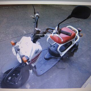ホンダ　ズーマー　白　１０ｔｈ Ａｎｎｉｖｅｒｓａｒｙ　50CC　バイク　中古車