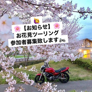 【🙋‍♀️🌸春のお花見ツーリング2021のお知らせわ🌸】