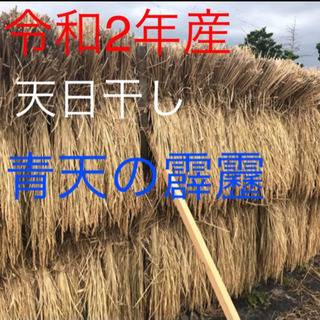 令和2年産　天日干し青天の霹靂 30kg