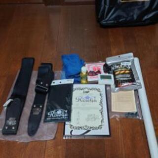 ESP M-Ⅱ SAYO 氷川紗夜ギター