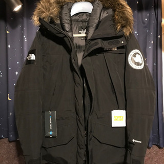 THE NORTH FACE ANTARCTICA PARKAサ...