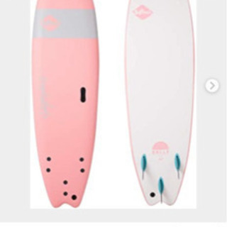 ソフテック  6.6 早い者勝ち