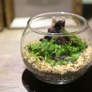 【JR四条畷】北欧の小さな森を作ろう♪苔テラリウムワークショップ