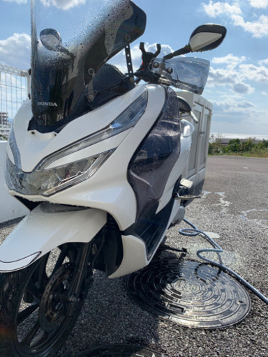その他 pcx jf81