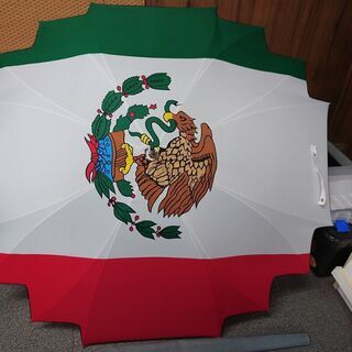 大変珍しい傘です！　メキシコの国旗の絵柄の変形傘　５８ｃｍ