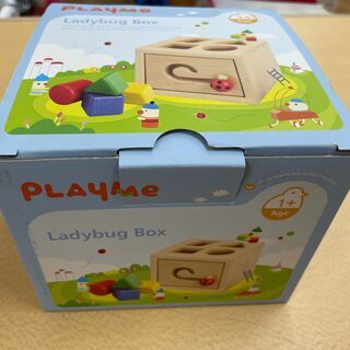 398871 積み木ブロック ladybug box